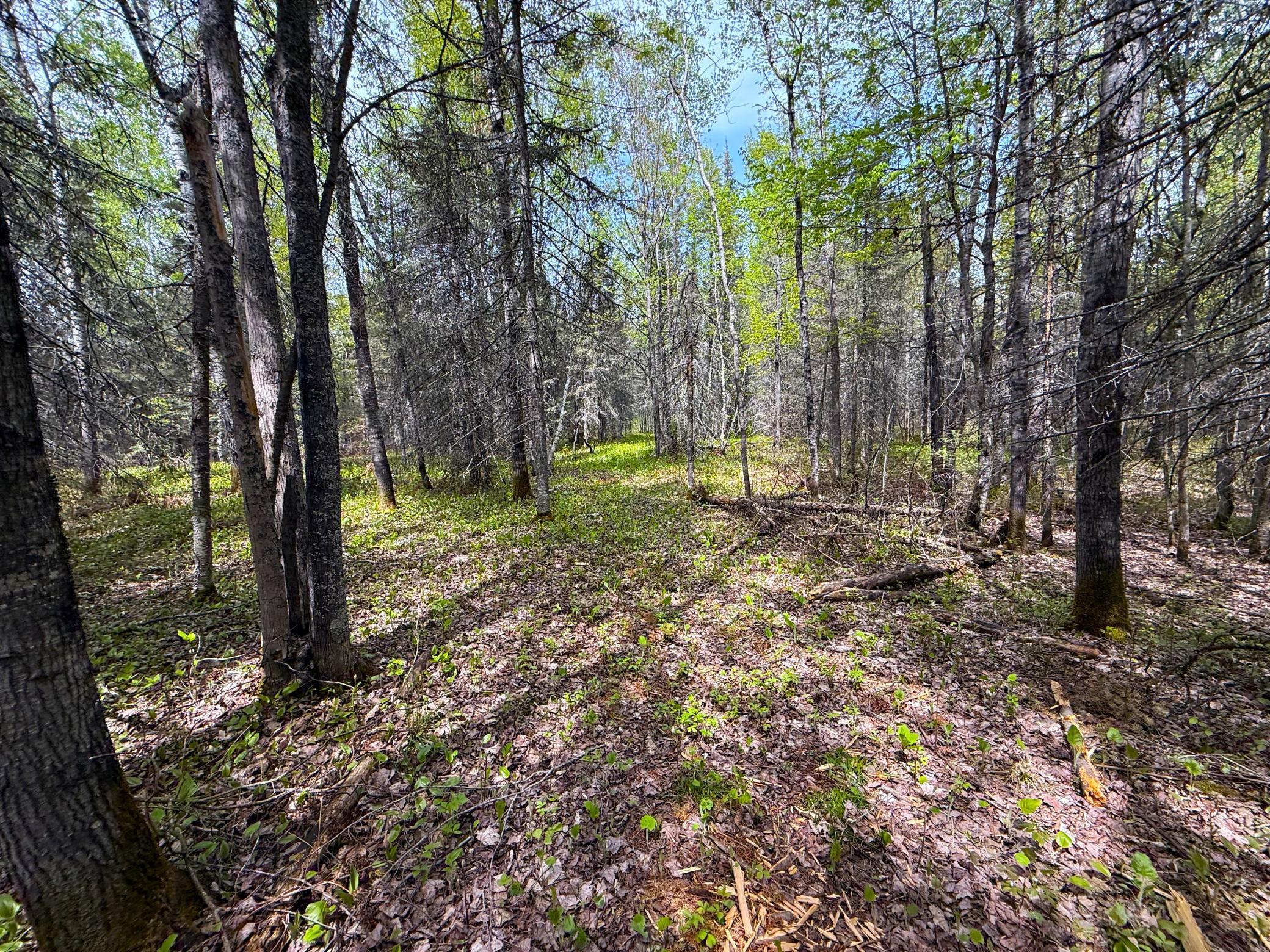 72XX E Central Lakes Road Lot G, Eveleth, Minnesota image 14