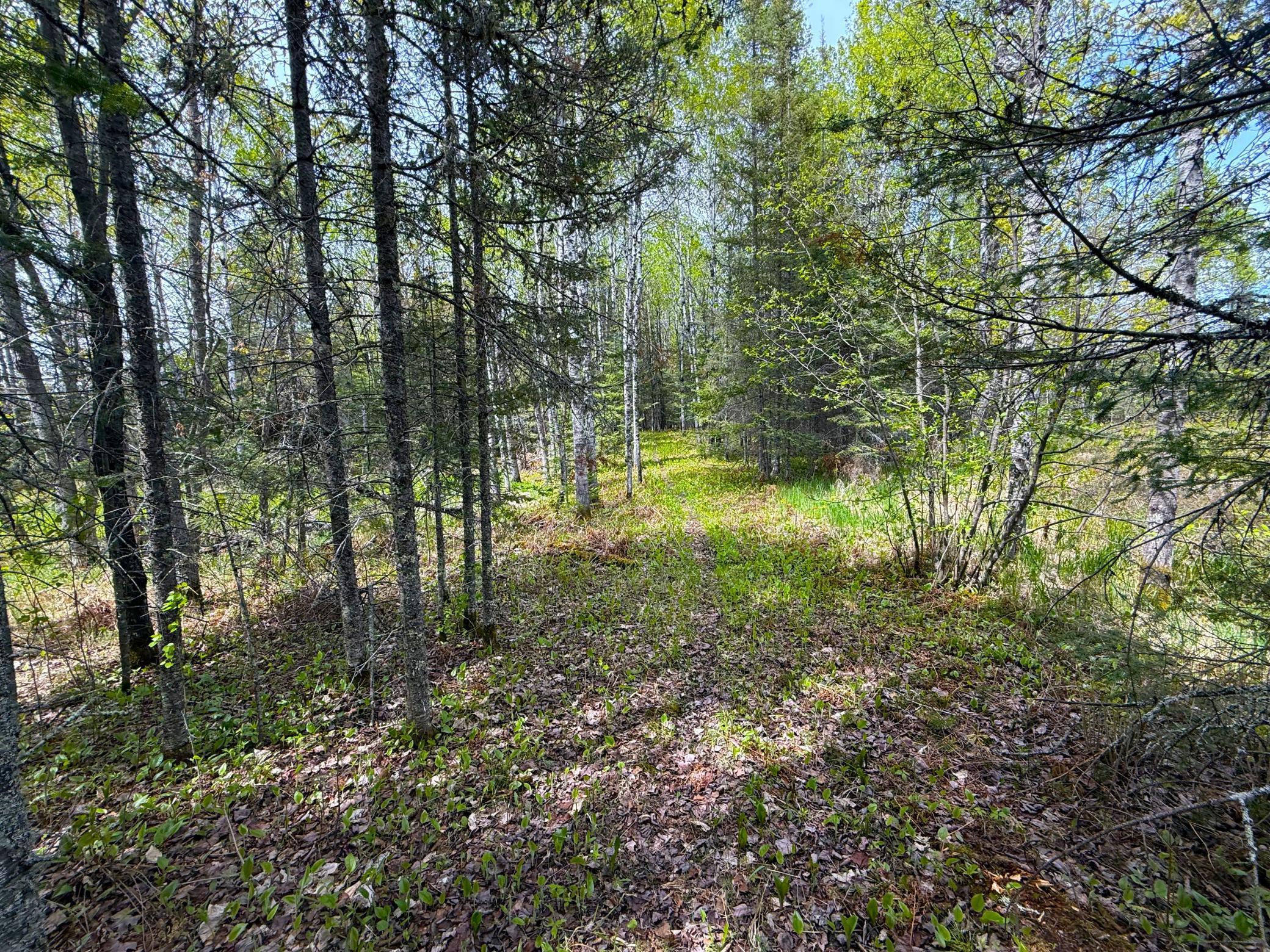 72XX E Central Lakes Road Lot G, Eveleth, Minnesota image 17