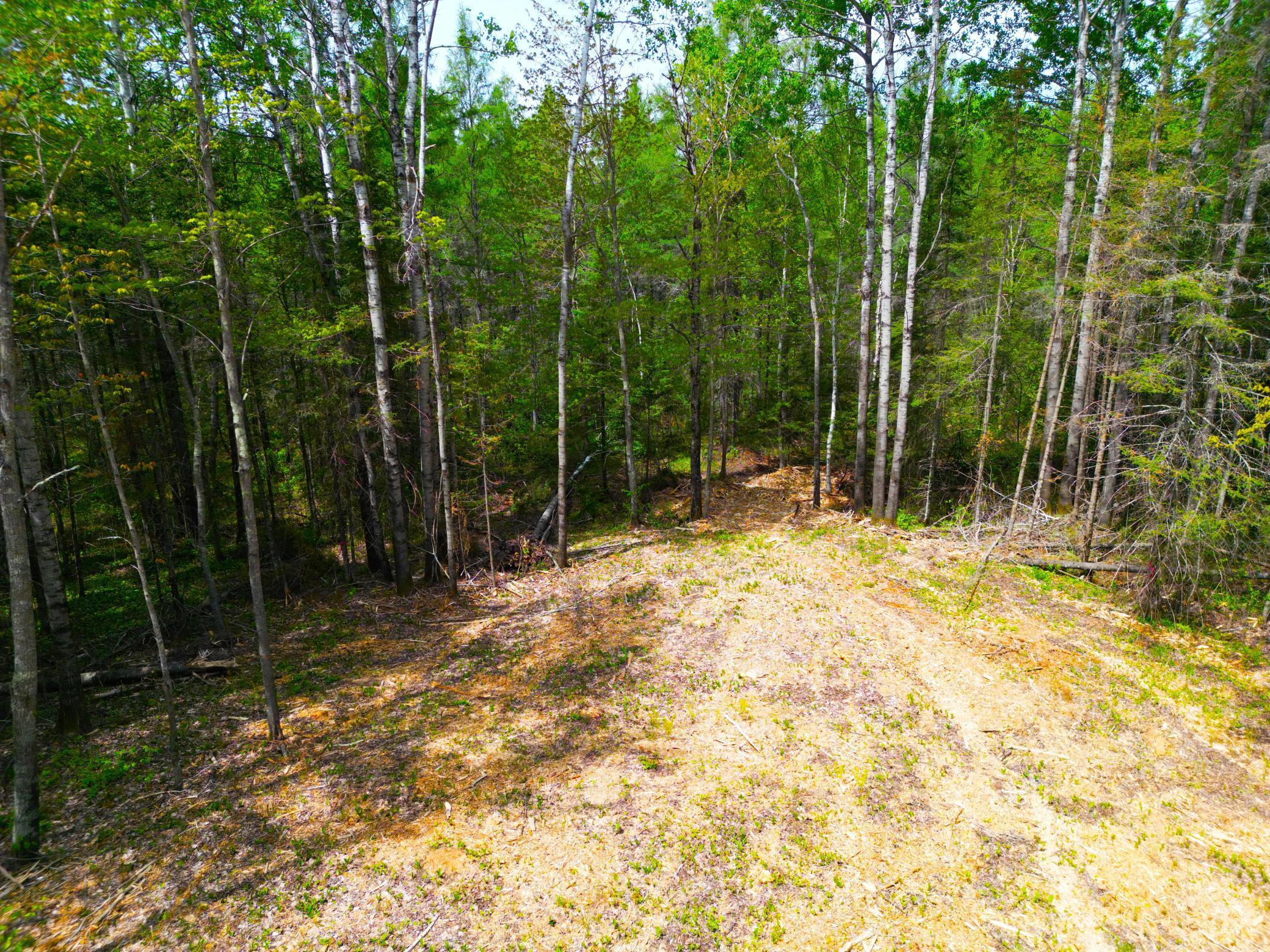 72XX E Central Lakes Road Lot G, Eveleth, Minnesota image 6