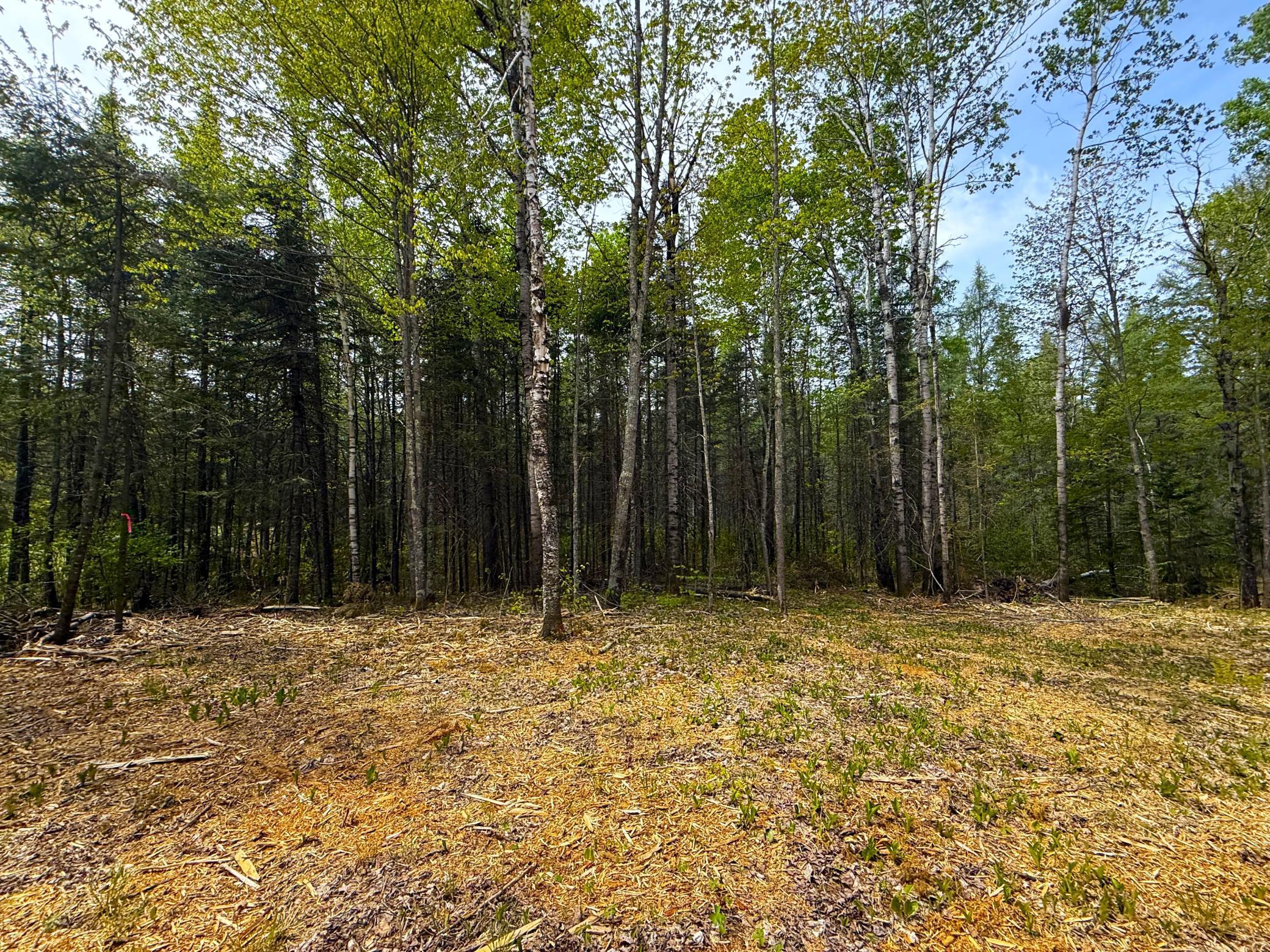 72XX E Central Lakes Road Lot G, Eveleth, Minnesota image 9