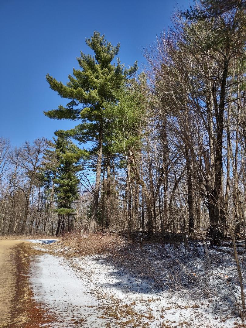 Lot 35 N4XX 297th Street, Eau Galle, Wisconsin image 12