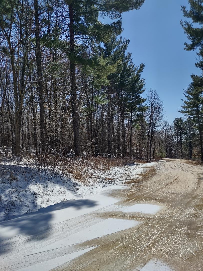Lot 35 N4XX 297th Street, Eau Galle, Wisconsin image 1