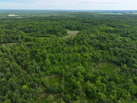 Vacant Land For Sale - TBD County Highway 26<br/> Rochert, MN 56578
