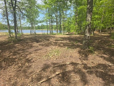 Vacant Land For Sale - LOT 5 County Road 30<br/> Crosby, MN 56441