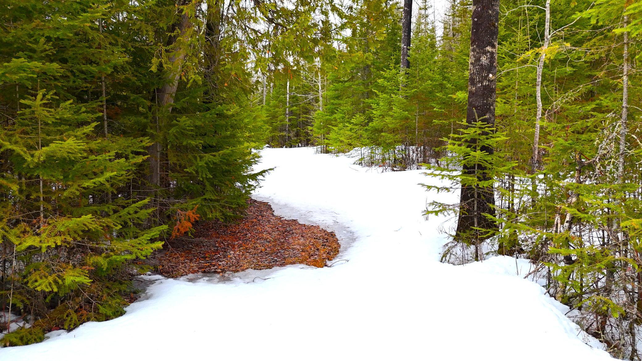 TBD Gappa Road, Kabetogama, Minnesota image 5