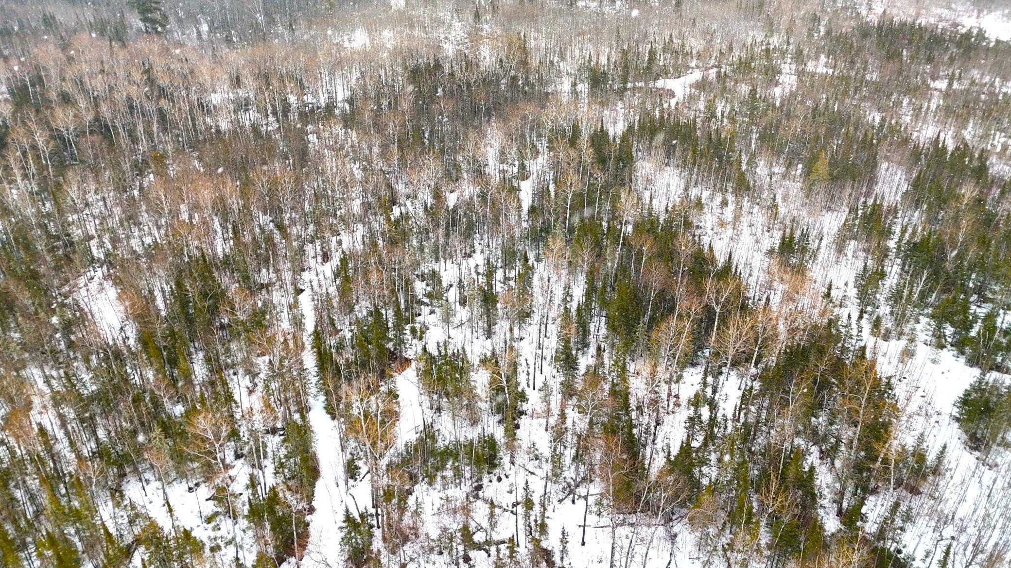 TBD Gappa Road, Kabetogama, Minnesota image 29