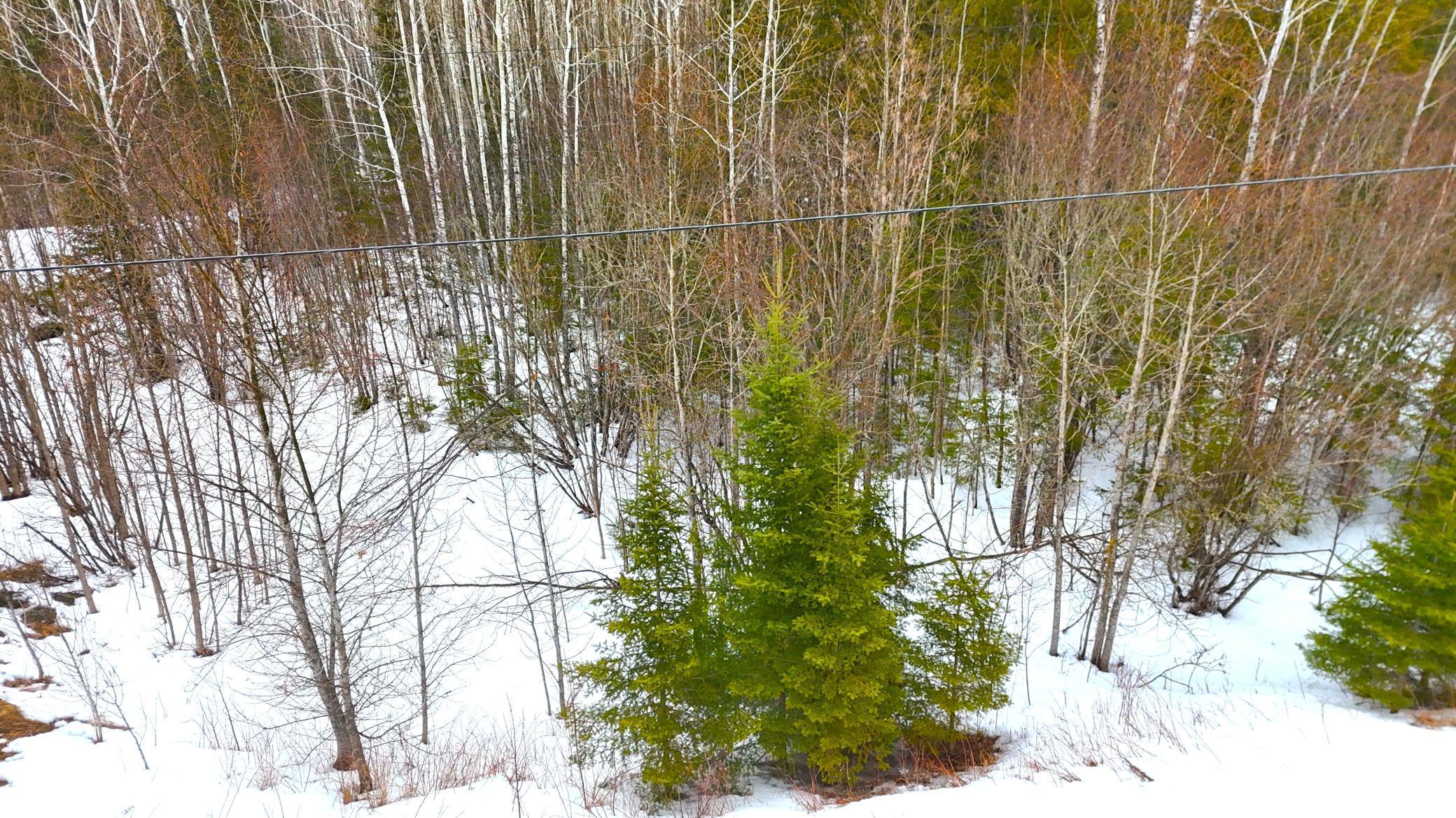 TBD Gappa Road, Kabetogama, Minnesota image 39