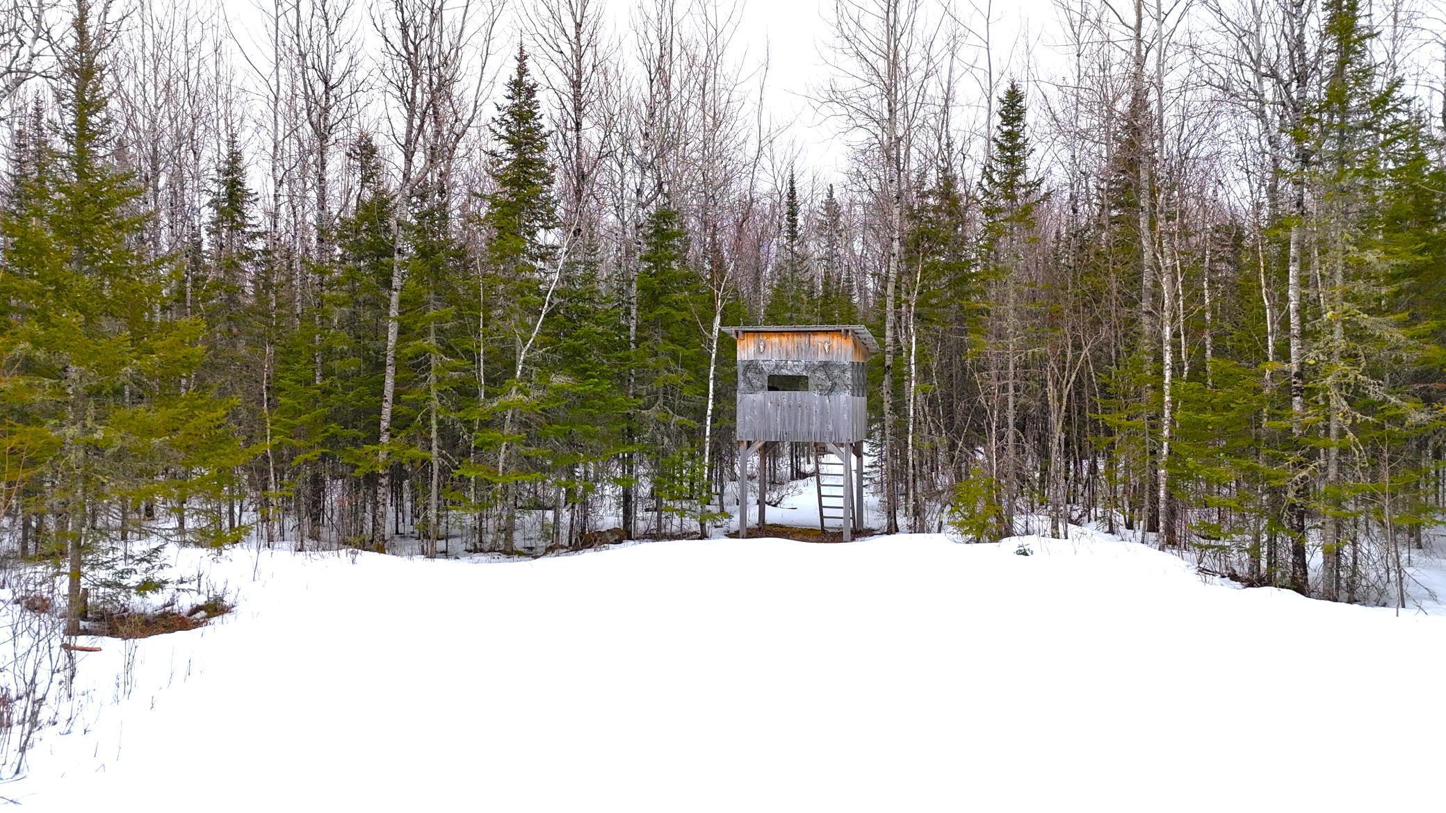 TBD Gappa Road, Kabetogama, Minnesota image 7