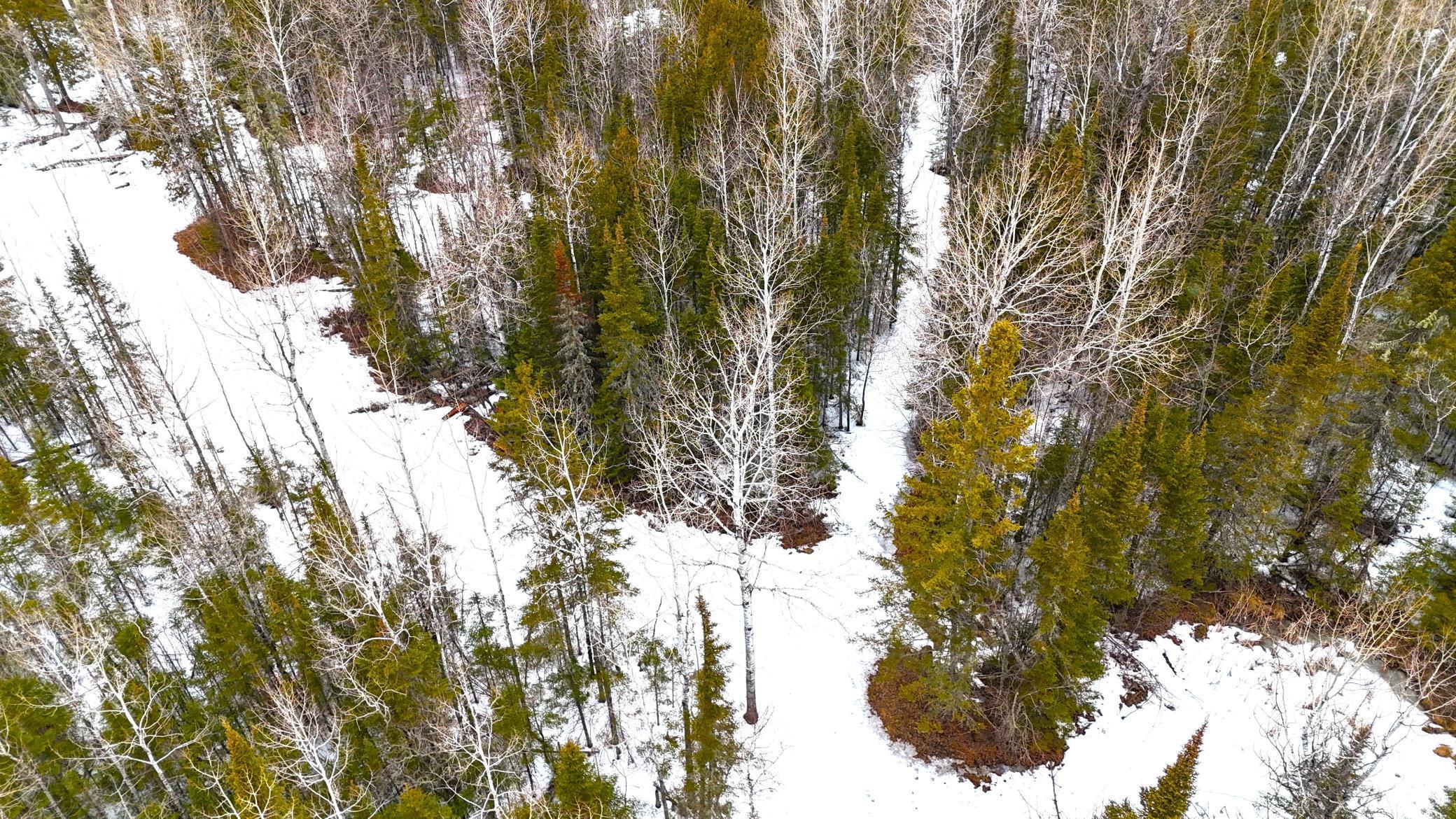 TBD Gappa Road, Kabetogama, Minnesota image 9