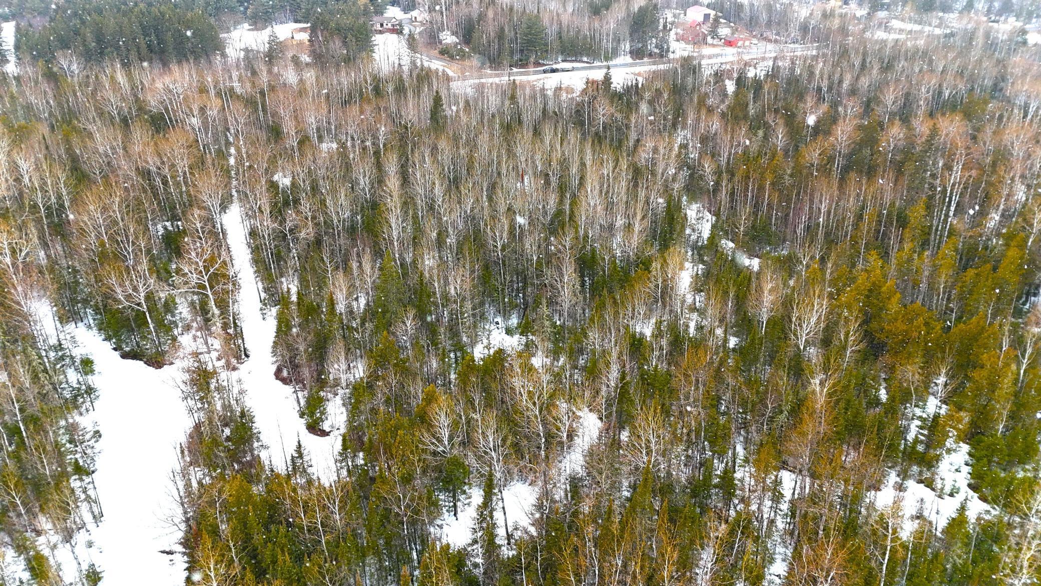 TBD Gappa Road, Kabetogama, Minnesota image 24