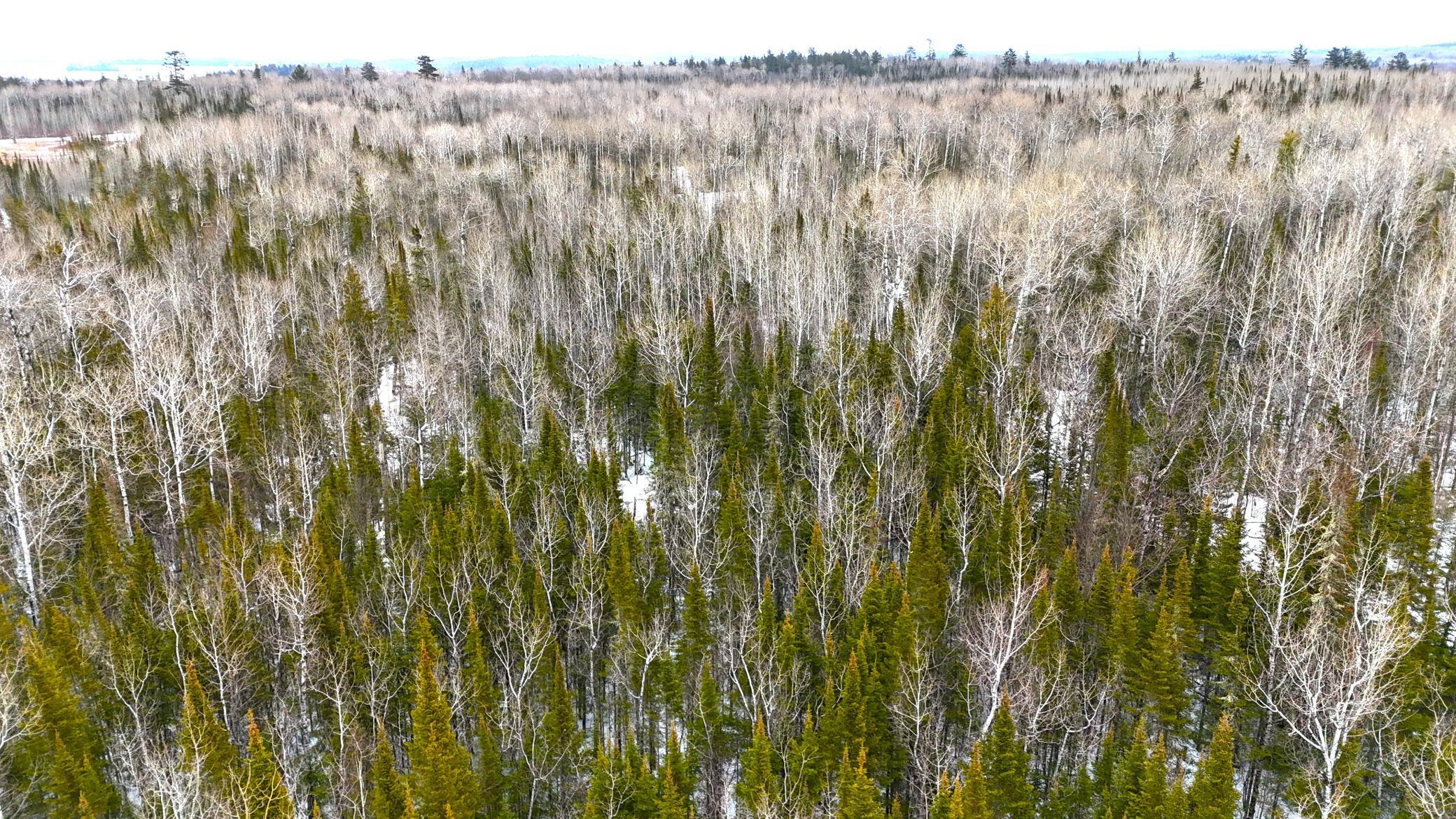 TBD Gappa Road, Kabetogama, Minnesota image 13