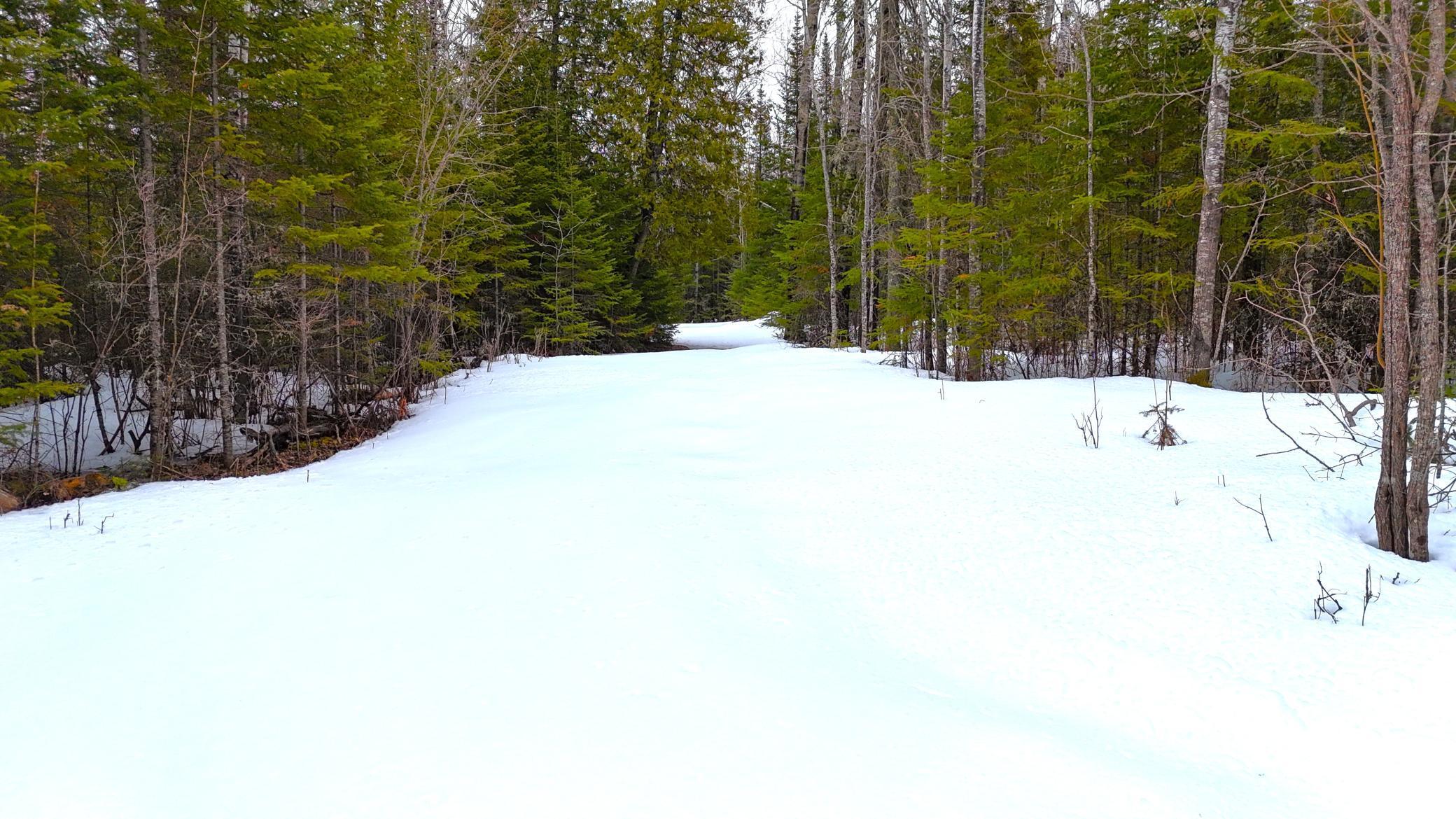 TBD Gappa Road, Kabetogama, Minnesota image 4