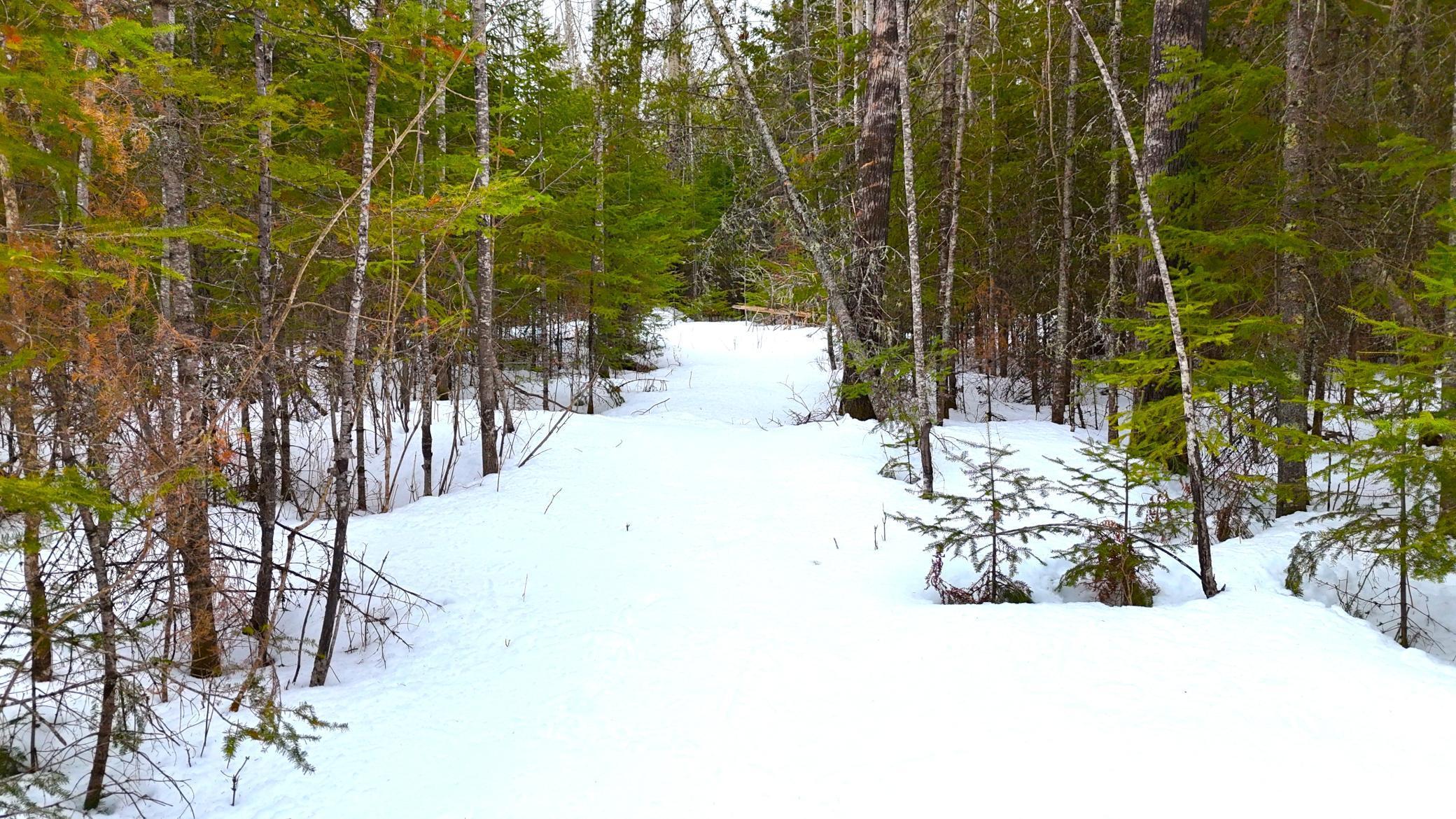 TBD Gappa Road, Kabetogama, Minnesota image 6