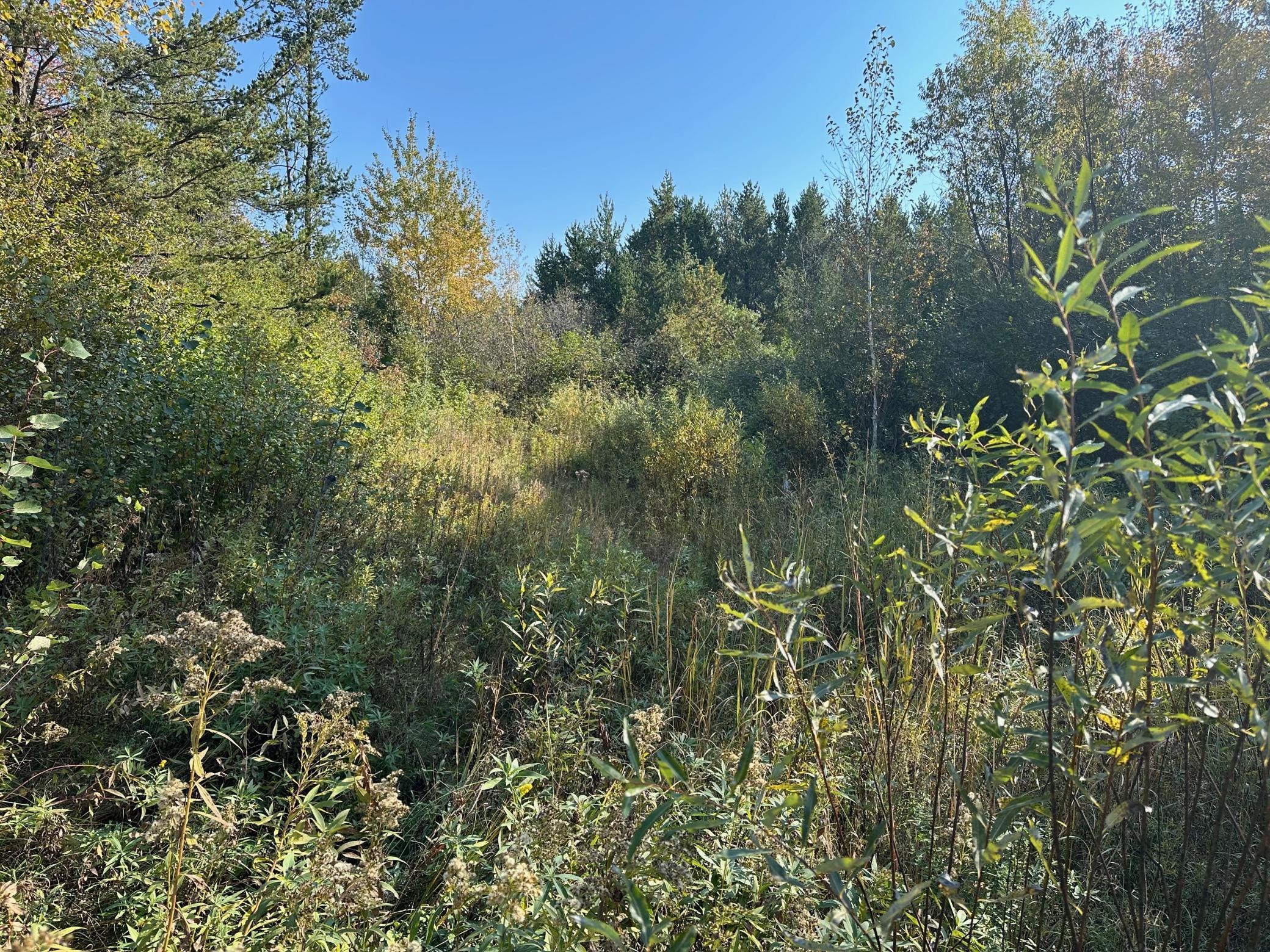 XXX Audubon Way, Brainerd, Minnesota image 9
