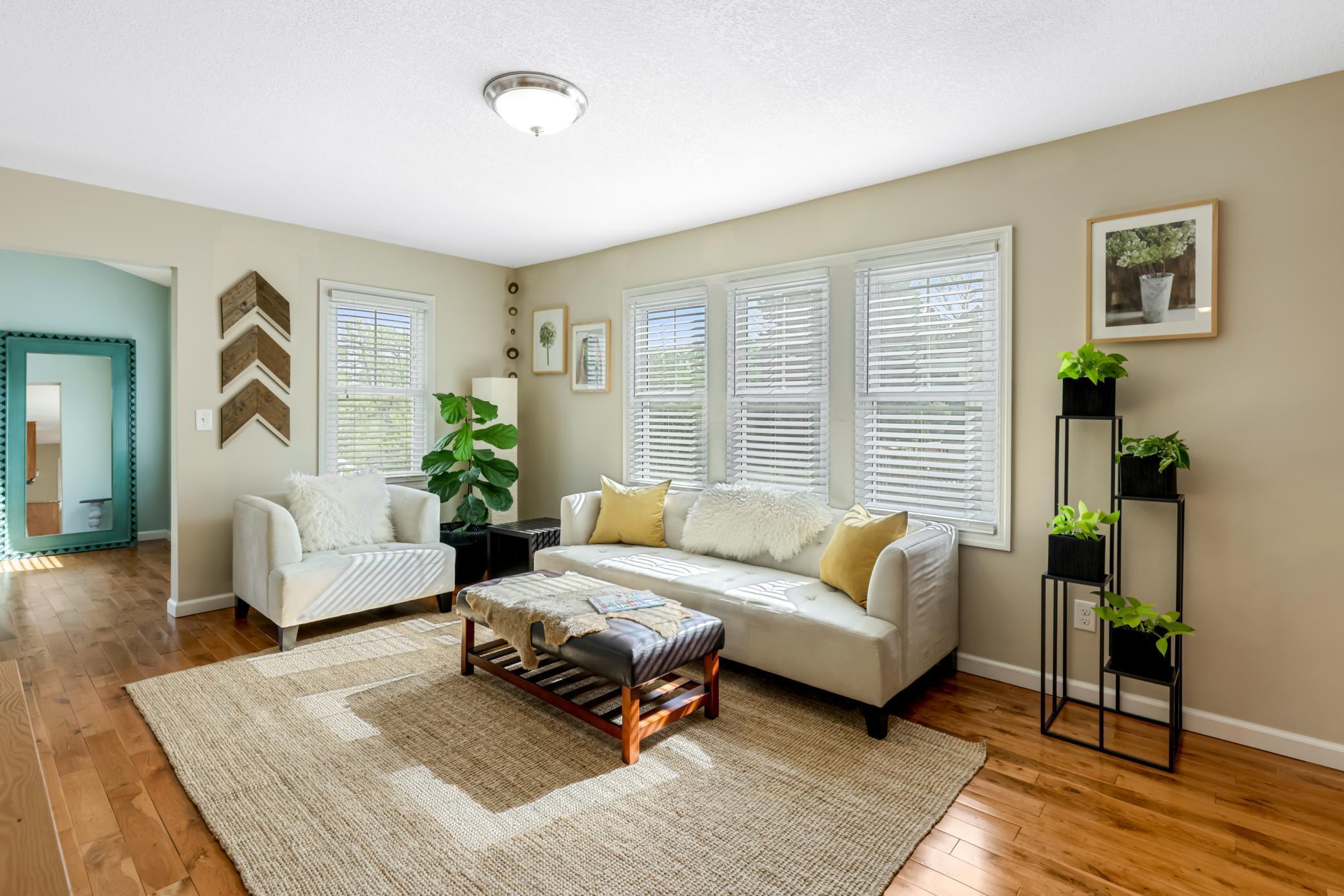 3465 Crystal Place, Wayzata, Minnesota image 9