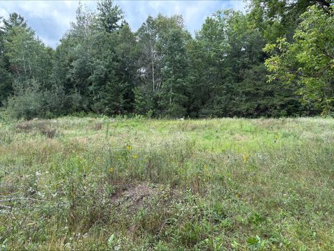 Vacant Land For Sale - 2645 28 1/16th Avenue/gateshead Road<br/> Birchwood, WI 54817