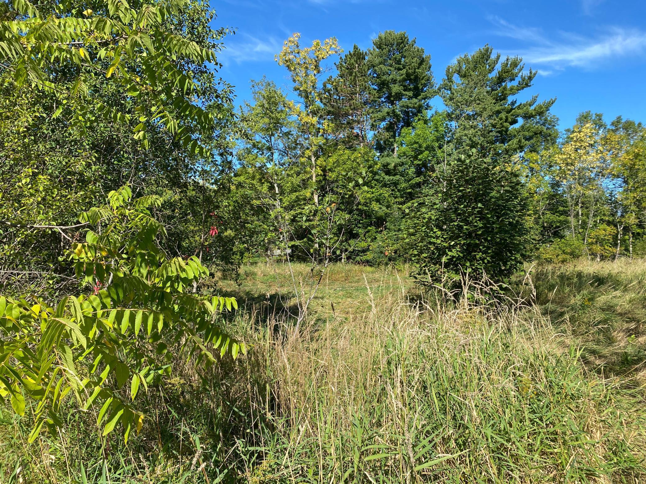 3 Acres 7th Street, Weyerhaeuser, Wisconsin image 7