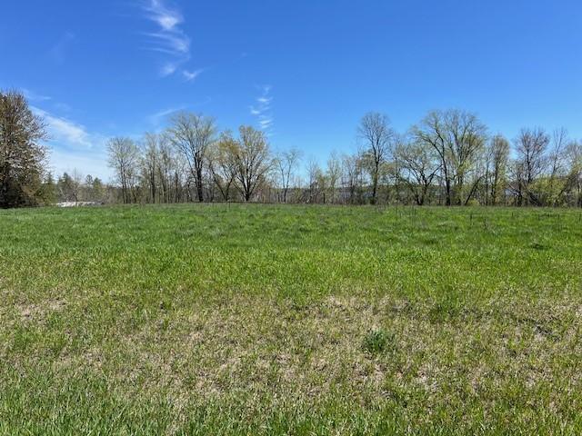 Lot 17 Alum Trail, Grey Eagle, Minnesota image 4