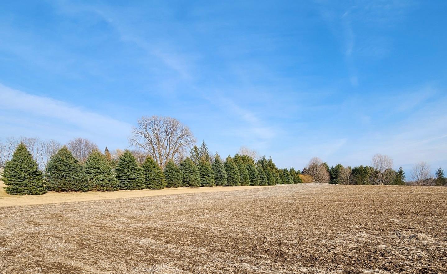 Lot 7 706th St, Wabasha, Minnesota image 2