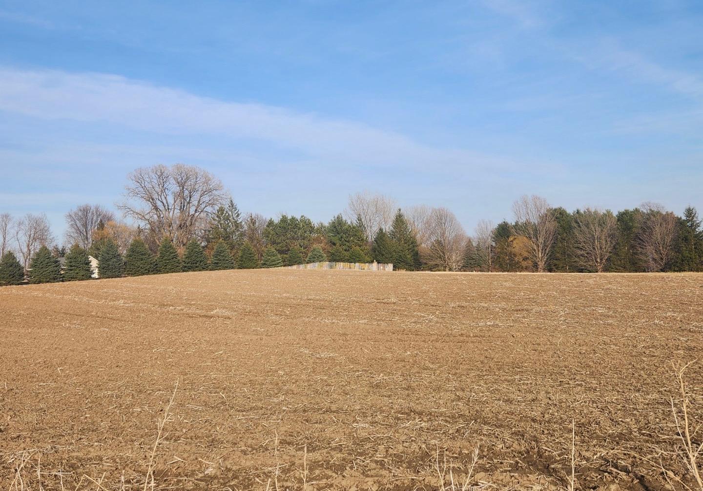 Lot 7 706th St, Wabasha, Minnesota image 5