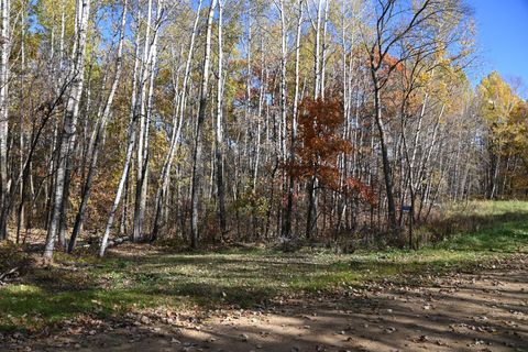 Vacant Land For Sale - 39924 Oriole Court<br/> Todd County, Browerville, MN 56438