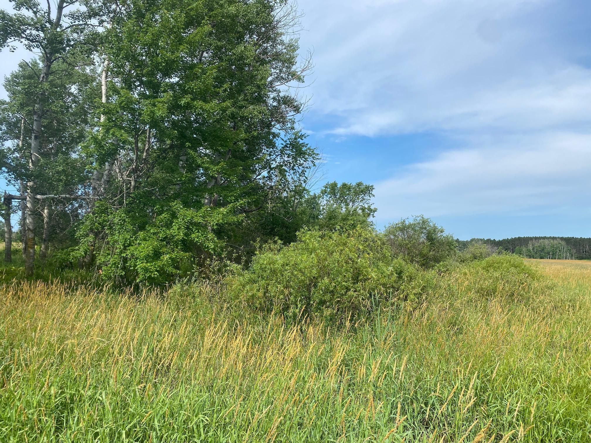 TBD Hupp Street, Braham, Minnesota image 3
