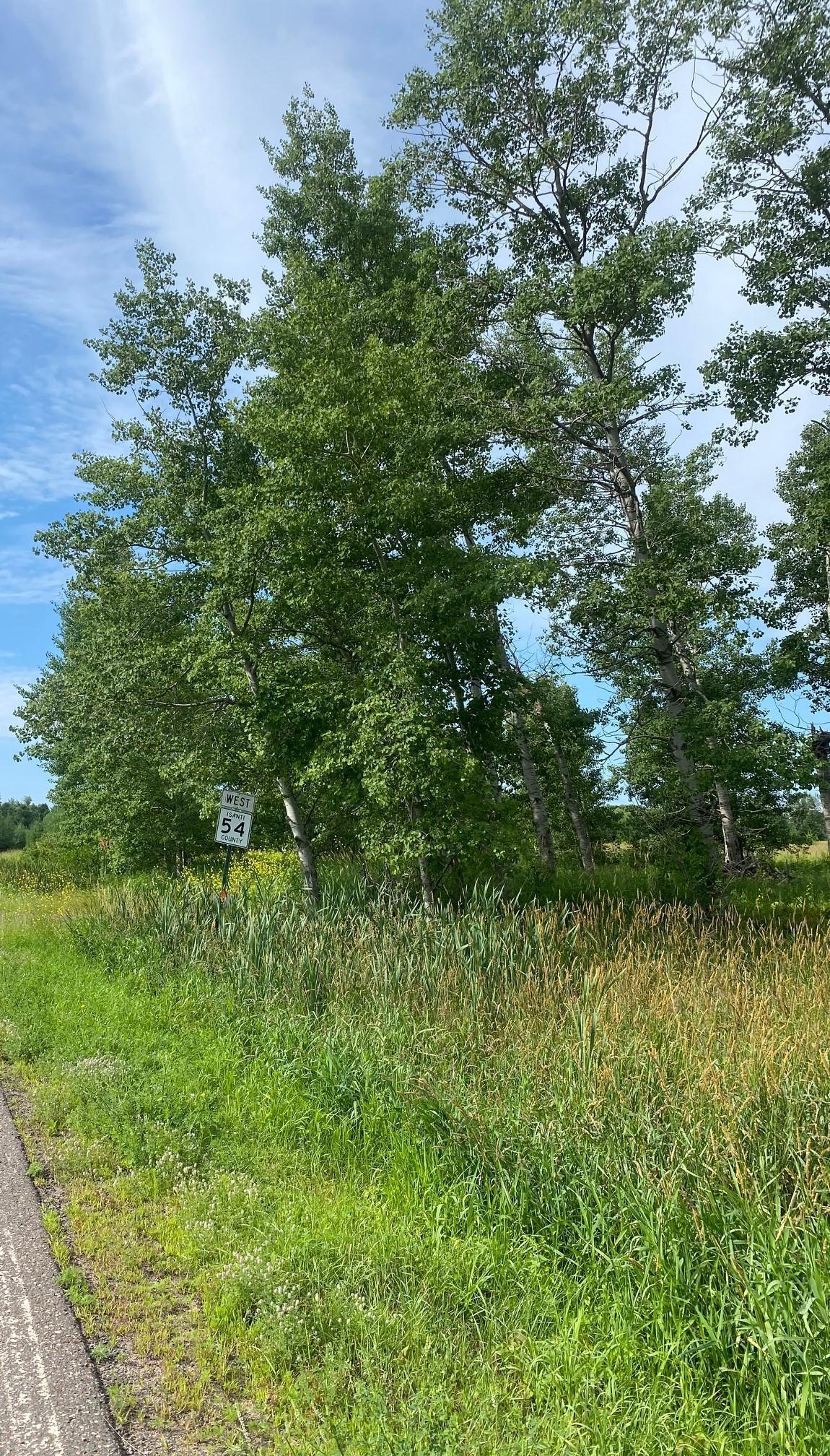 TBD Hupp Street, Braham, Minnesota image 6