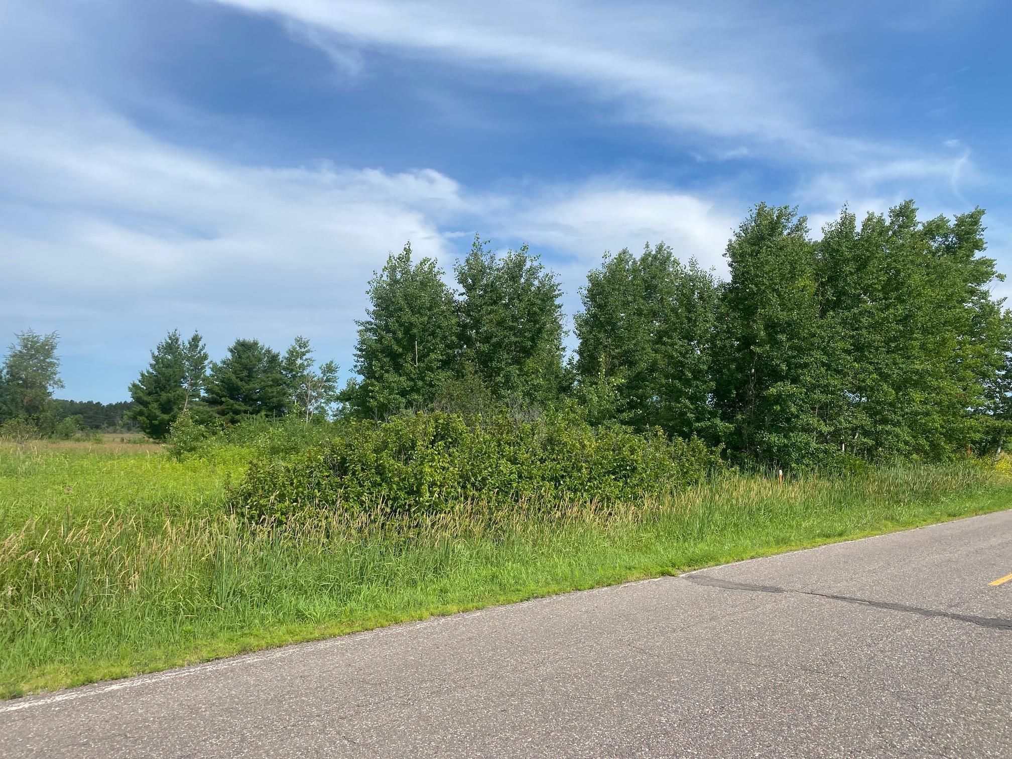 TBD Hupp Street, Braham, Minnesota image 12