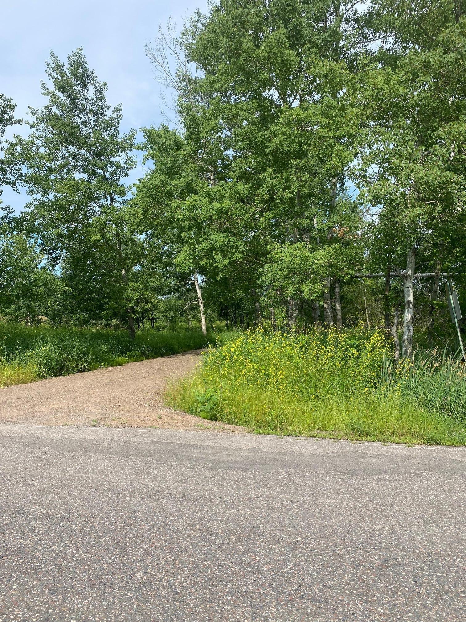 TBD Hupp Street, Braham, Minnesota image 7