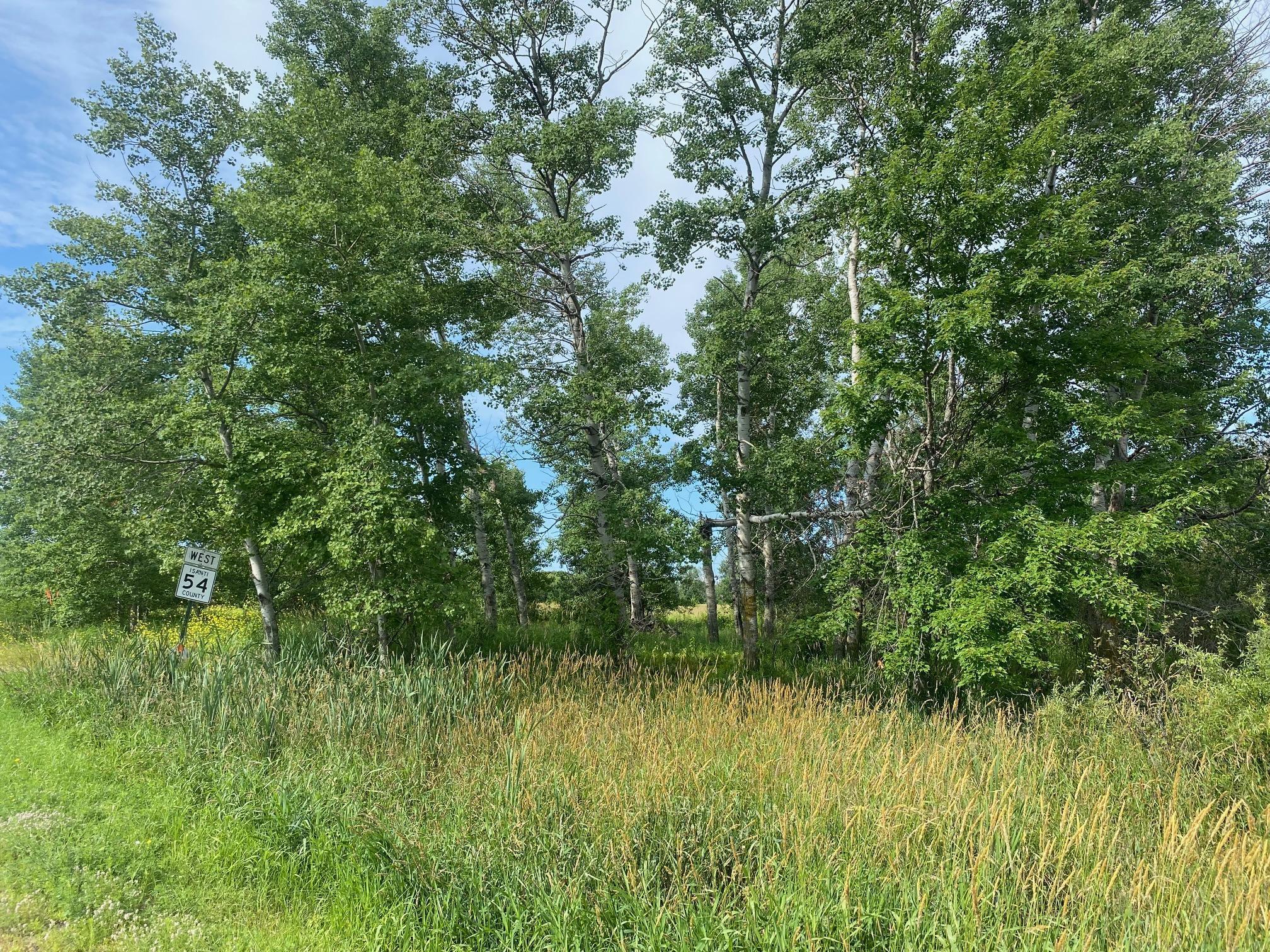 TBD Hupp Street, Braham, Minnesota image 2