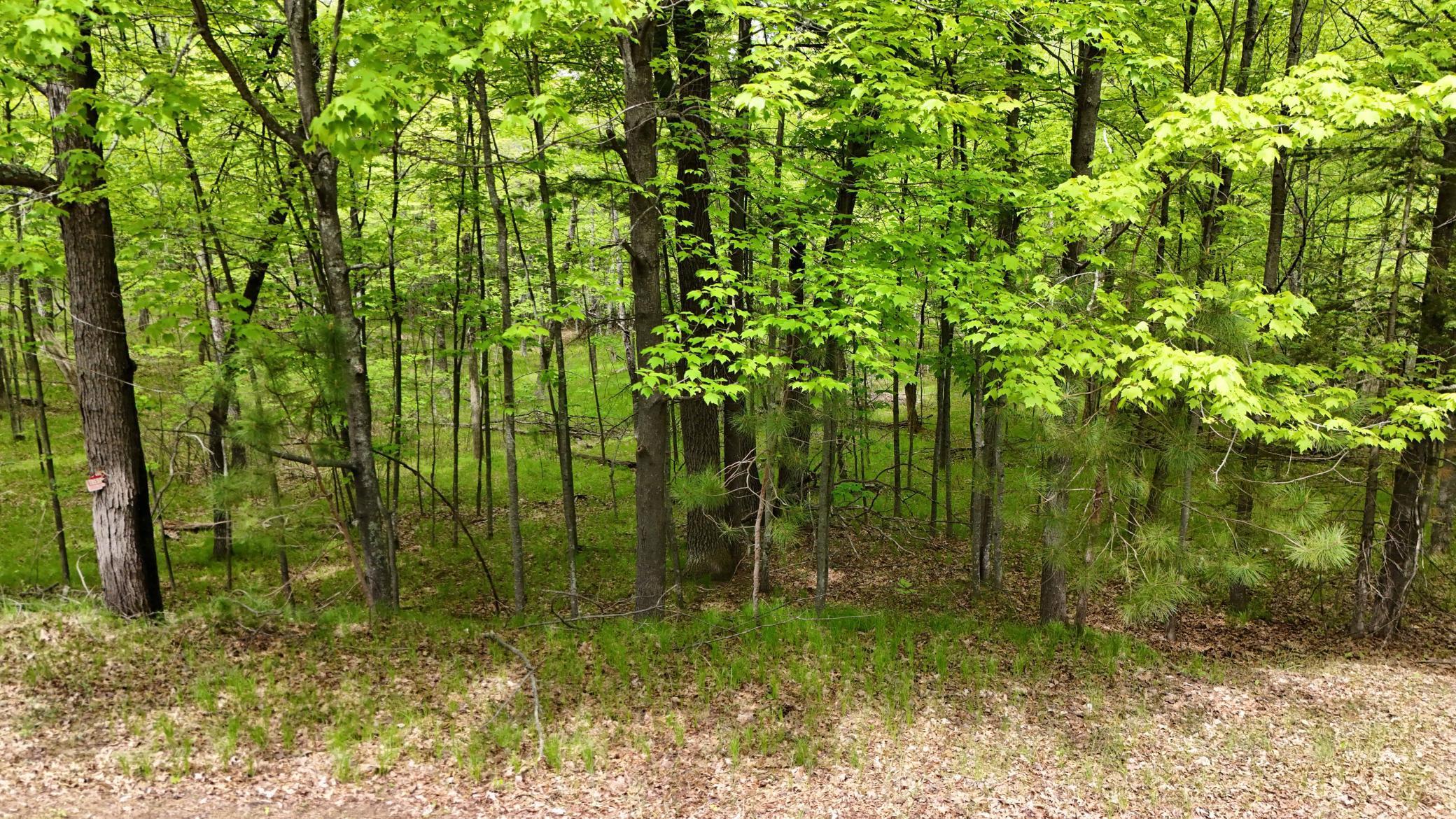 Lot 4 E Lakewood Drive, Wascott, Wisconsin image 9