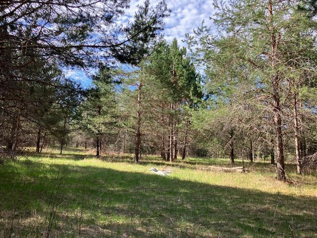 14318 E Hakkinen Road, Brule, Wisconsin image 15
