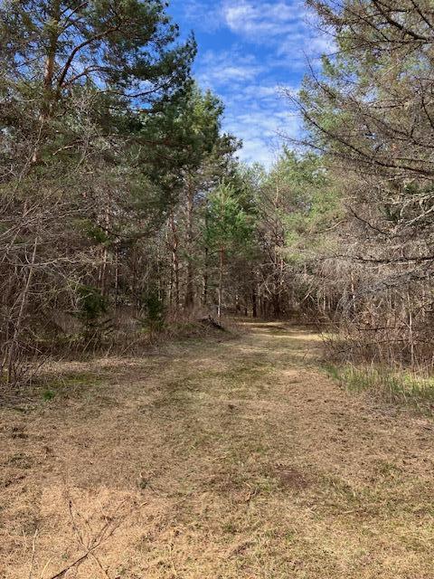 14318 E Hakkinen Road, Brule, Wisconsin image 12