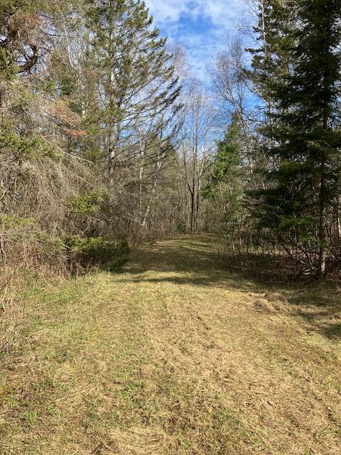 14318 E Hakkinen Road, Brule, Wisconsin image 8