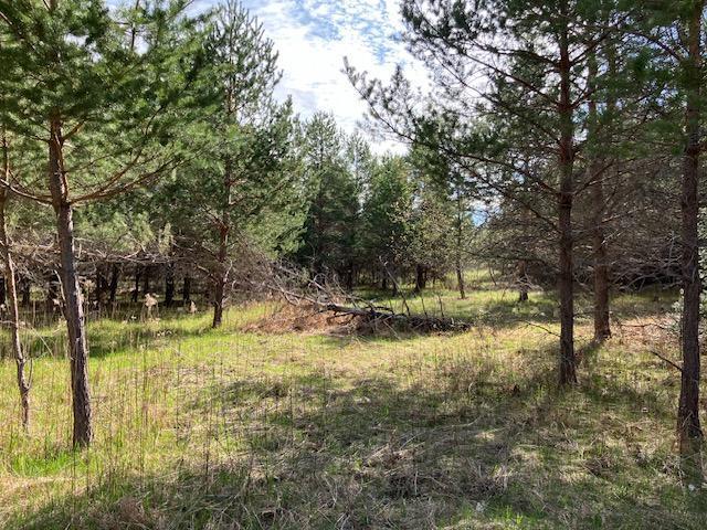 14318 E Hakkinen Road, Brule, Wisconsin image 14