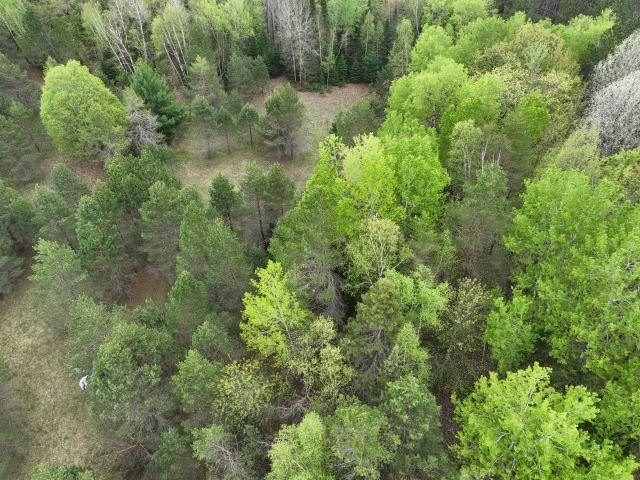 14318 E Hakkinen Road, Brule, Wisconsin image 2