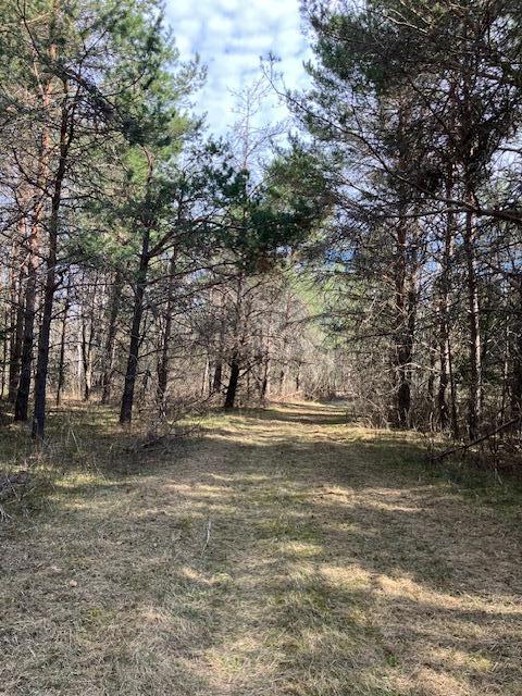 14318 E Hakkinen Road, Brule, Wisconsin image 10