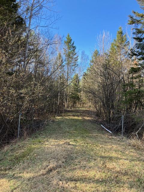 14318 E Hakkinen Road, Brule, Wisconsin image 17