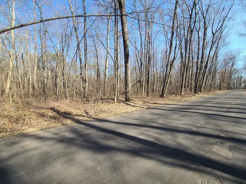 Vacant Land For Sale - TBD Heinrich Avenue<br/> Sawyer County, Hayward, WI 54843