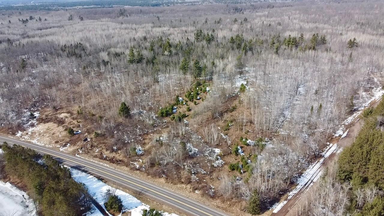 Borrie Road, Couderay, Wisconsin image 19