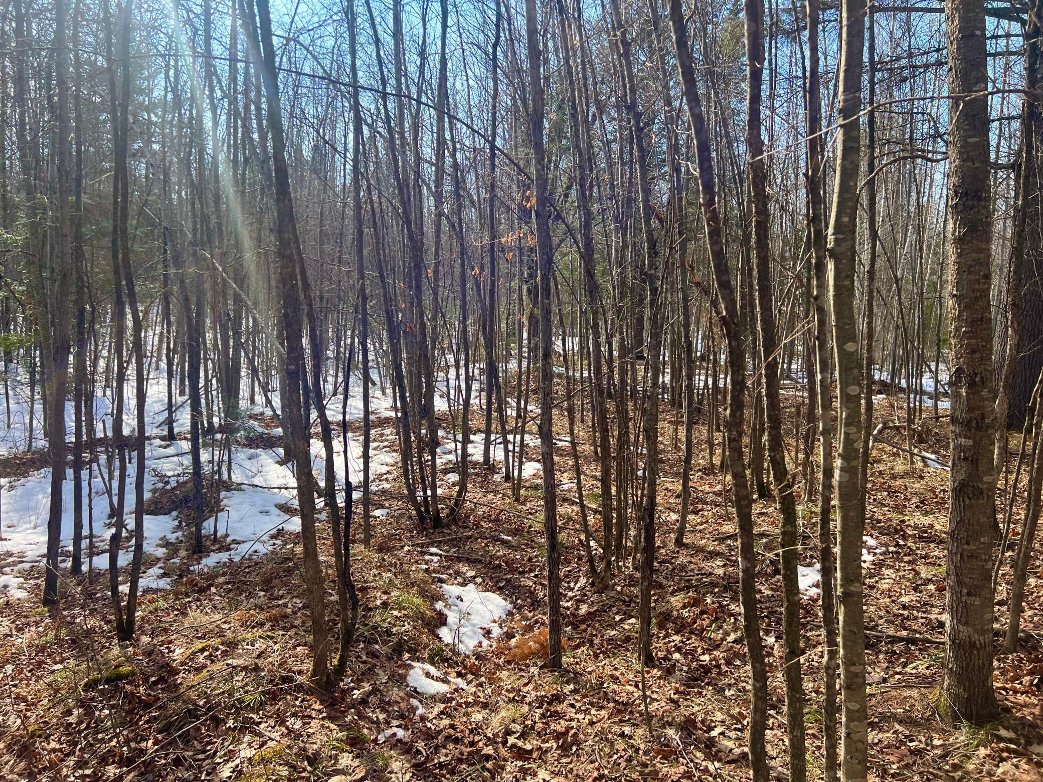 Borrie Road, Couderay, Wisconsin image 11