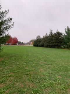 TBD Harrison Avenue, Racine, Minnesota image 6