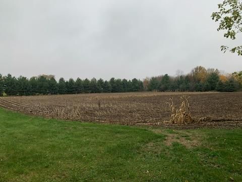 Vacant Land For Sale - TBD Harrison Avenue<br/> Racine, MN 55967