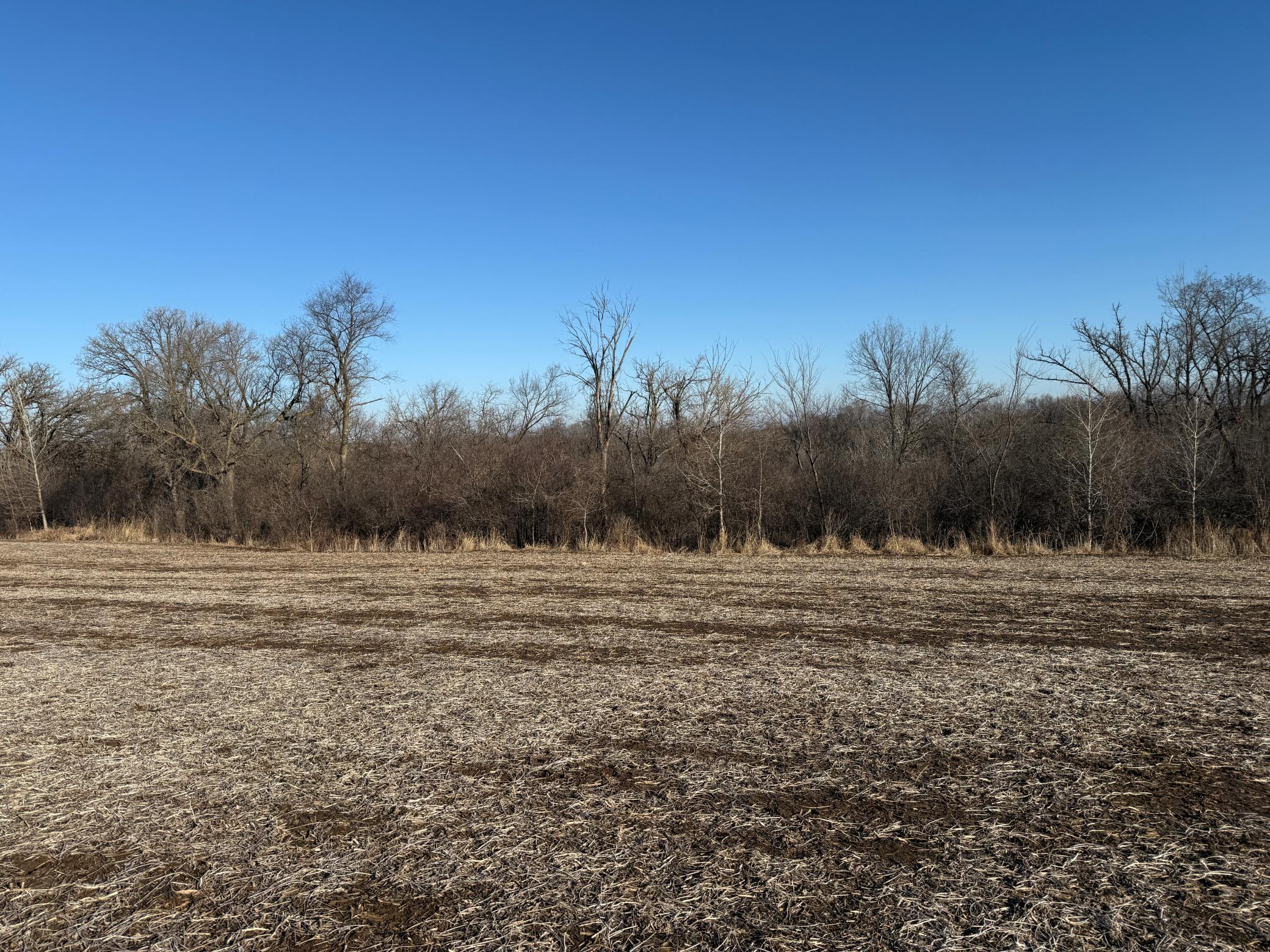 Xxx County Road 68, Zumbro Falls, Minnesota image 19