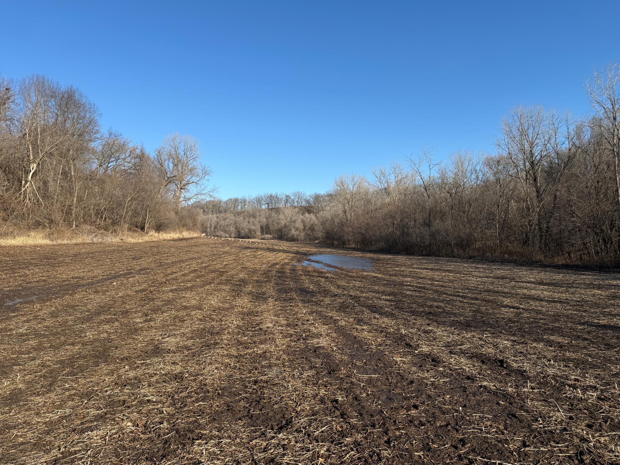 Xxx County Road 68, Zumbro Falls, Minnesota image 30