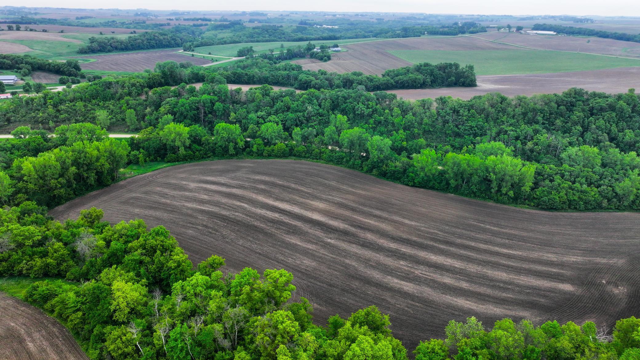 Xxx County Road 68, Zumbro Falls, Minnesota image 23
