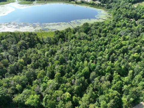 Vacant Land For Sale - TBD Hillerman Road<br/> Hackensack, MN 56452