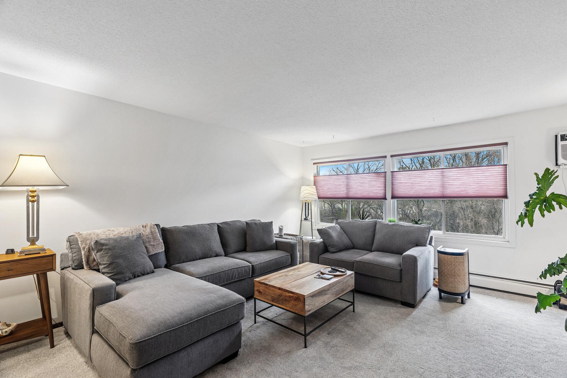 10311 Cedar Lake Road #305, Minnetonka, Minnesota image 4