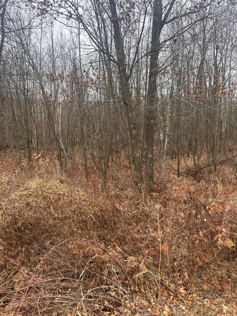 Vacant Land For Sale - TBDX Lake Camile<br/> Randall, MN 56475