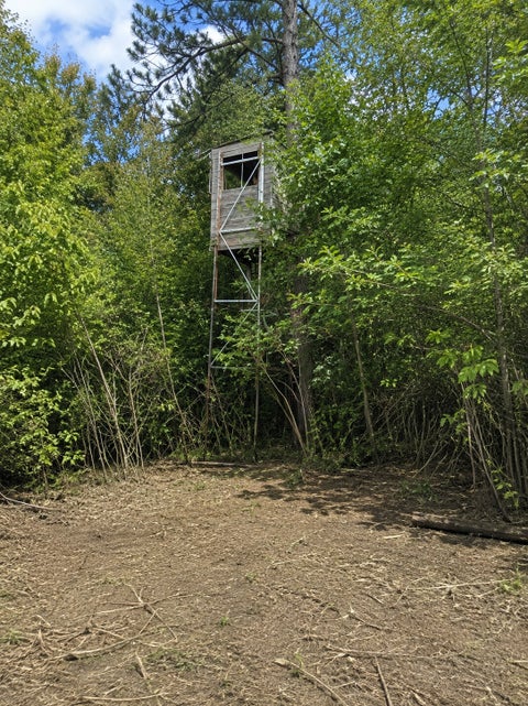 Vacant Land For Sale - TBD Chimney Road<br/> Hubbard County, Nevis, MN 56467
